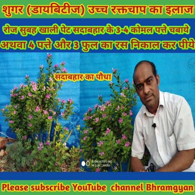 Hindi Thought by Anil Mistry https://www.youtube.com/c/BHRAMGYAN : 111402251