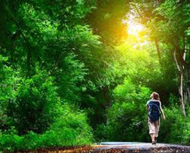 Hindi Thought by Ruchi Dixit : 111402758