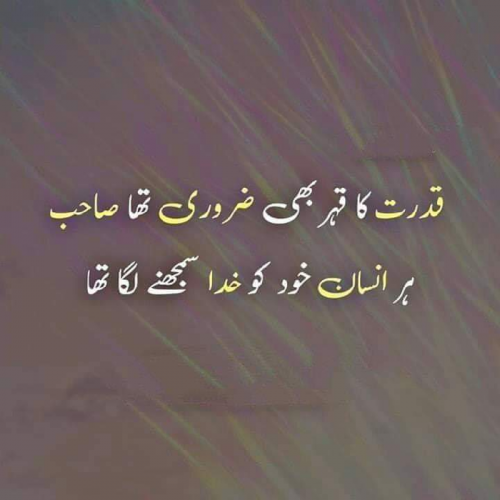 Post by organic planet on 19-Apr-2020 08:44pm