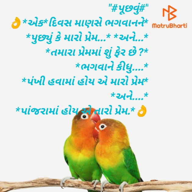 Gujarati Blog by RajniKant H.Joshi : 111404434