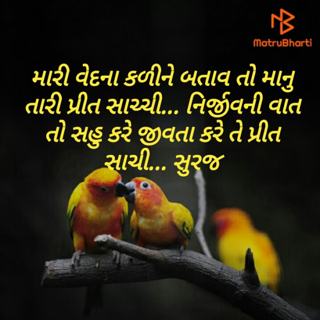Gujarati Whatsapp-Status by Suraj : 111404808