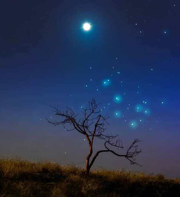 Hindi Thought by Rajesh Mewade : 111405144