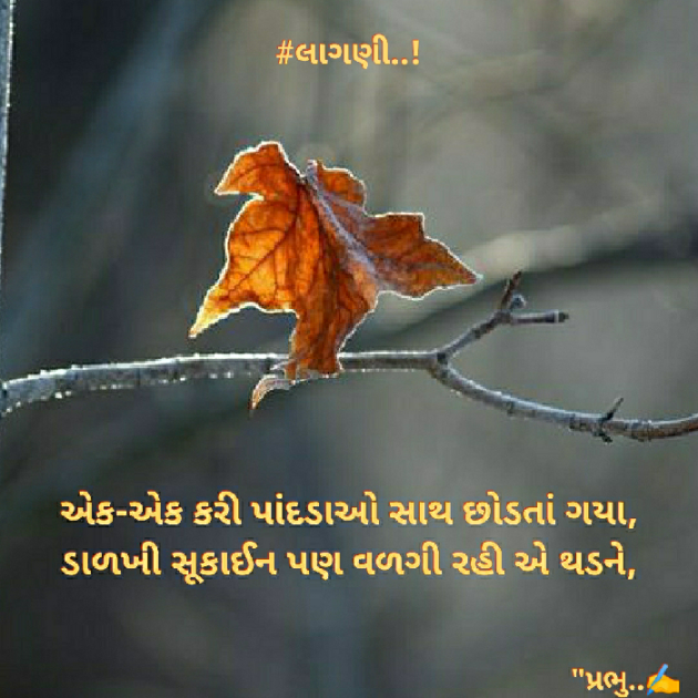 Gujarati Blog by પ્રભુ : 111405404