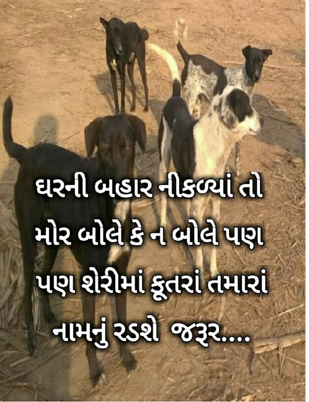 Gujarati Funny by Sachin Soni : 111405494