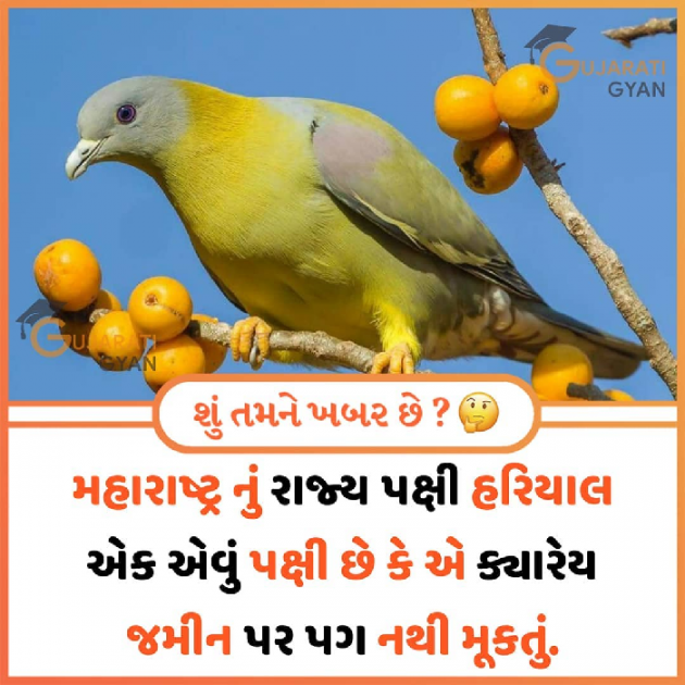 Gujarati Motivational by Rajkotiya Dhaval : 111405509