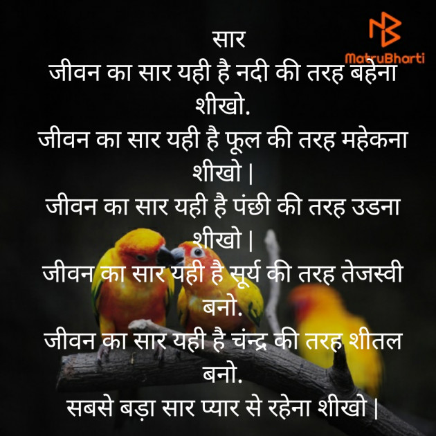 Hindi Microfiction by Punita : 111405652