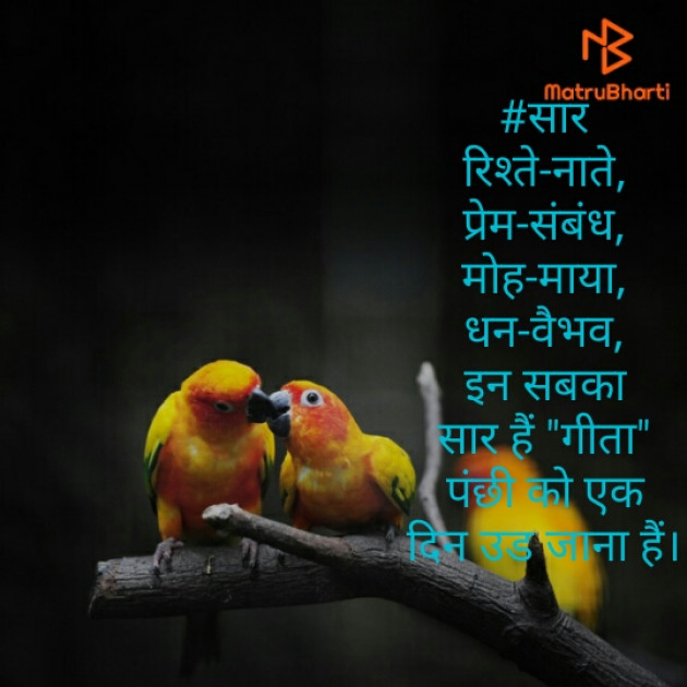 Hindi Blog by Dr. Damyanti H. Bhatt : 111405729