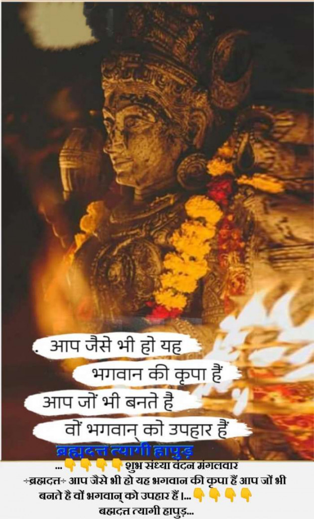 Hindi Religious by ब्रह्मदत्त त्यागी हापुड़ : 111405818