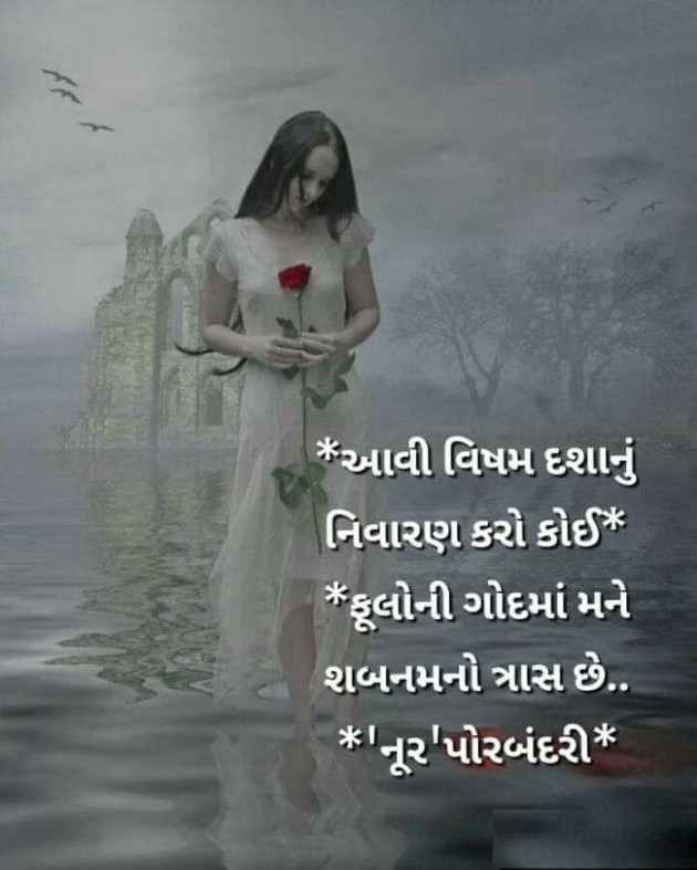 Gujarati Microfiction by Vira : 111406835