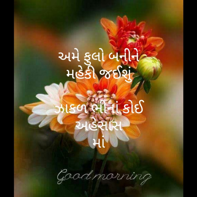 Gujarati Poem by મોહનભાઈ આનંદ : 111406950