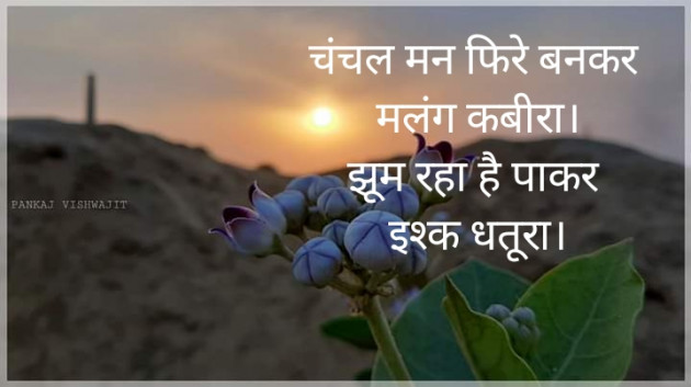 Hindi Blog by खुशबू शुक्ला : 111406995
