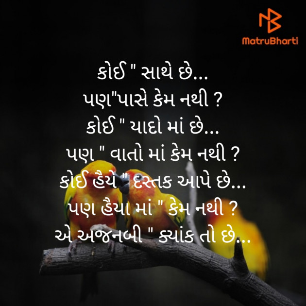 Gujarati Motivational by Rahul Jethva : 111407029