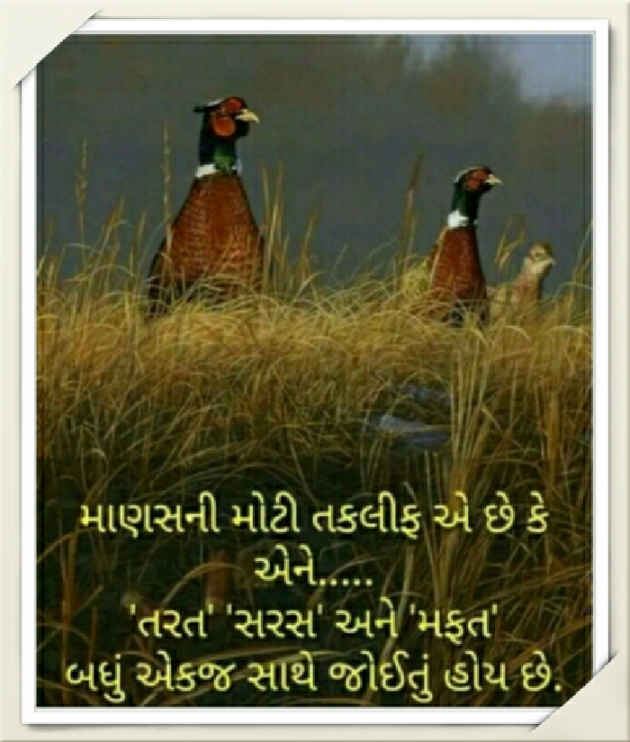 English Shayri by Pravin Parmar : 111407119