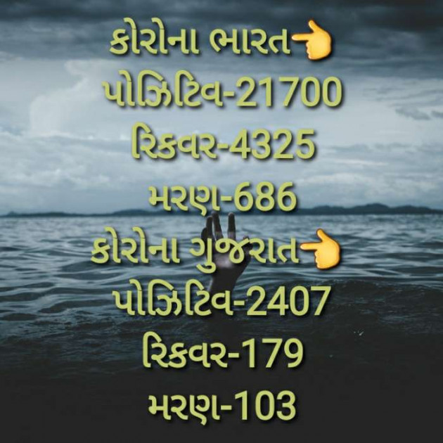 Gujarati News by Harshad Patel : 111408630