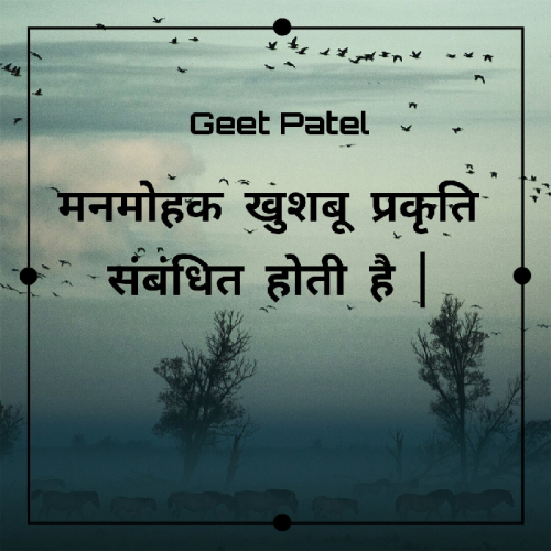 Post by Geet Patel on 24-Apr-2020 09:23am