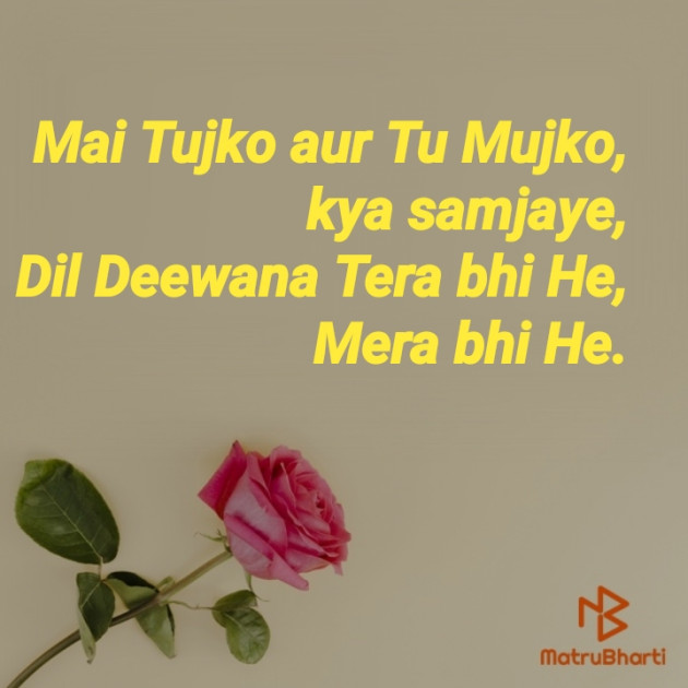 Hindi Microfiction by Nilay : 111408791