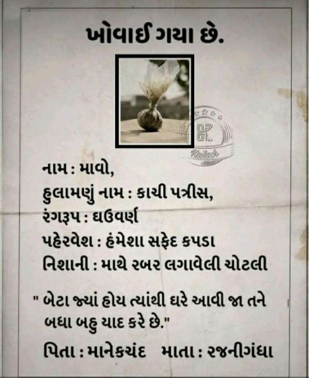 Gujarati Funny by Hardik Boricha : 111409341