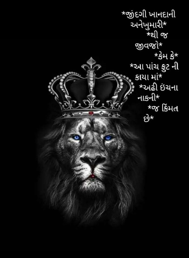 Gujarati Blog by RajniKant H.Joshi : 111409599
