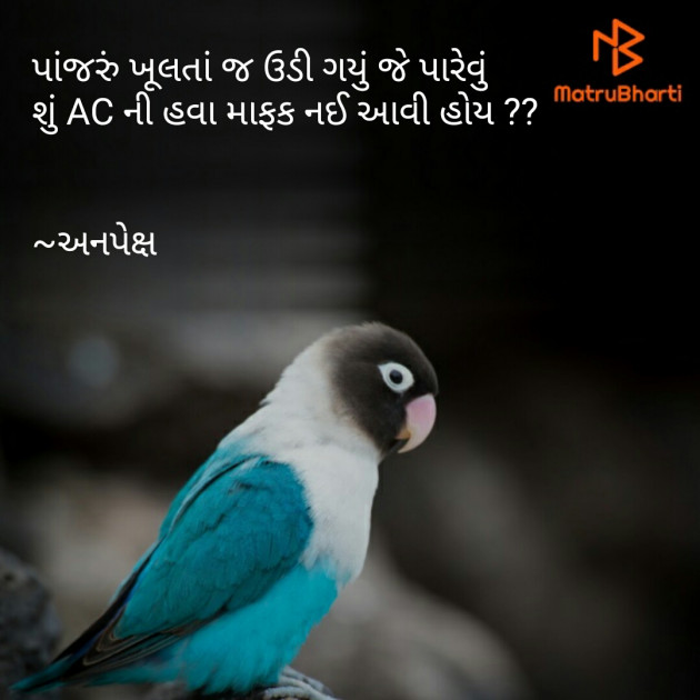 Gujarati Thought by Anapeksh : 111410189