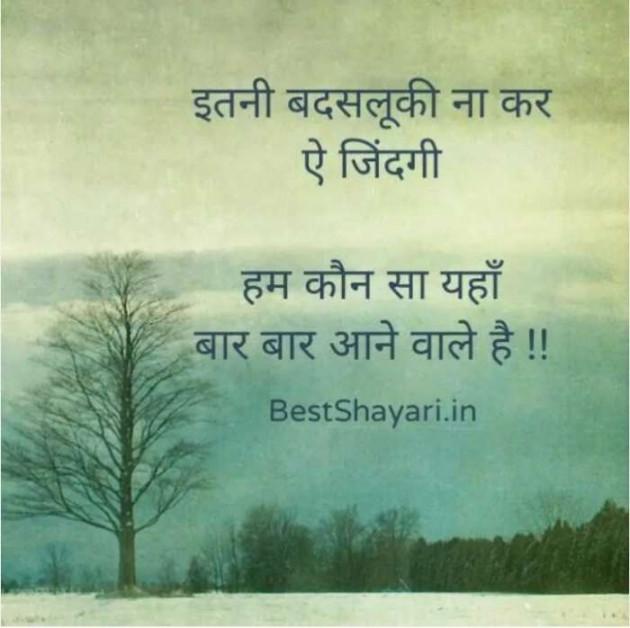 English Shayri by Dhiren Gajjar : 111410571