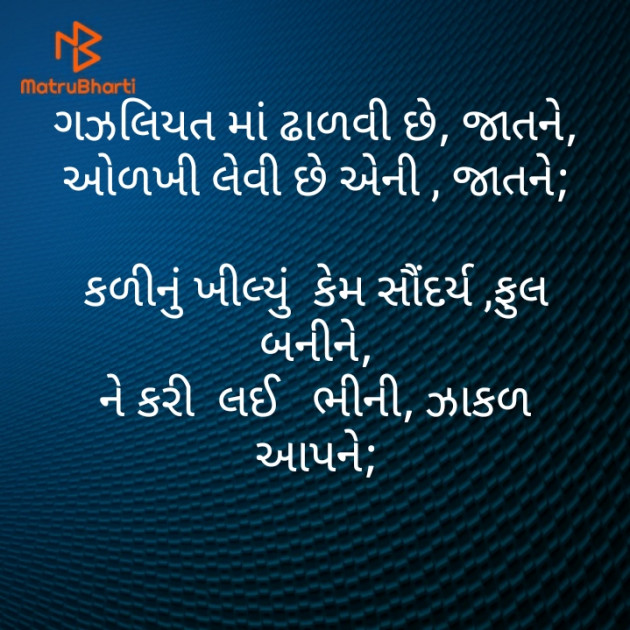 Gujarati Motivational by મોહનભાઈ આનંદ : 111411360