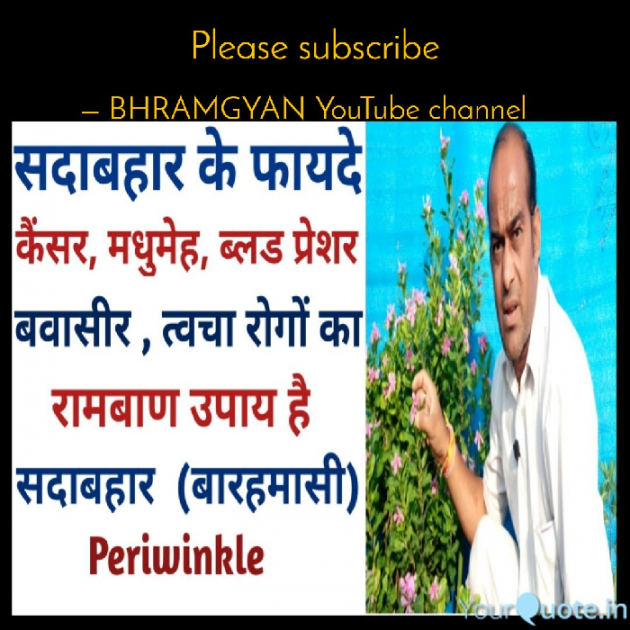 Hindi Thought by Anil Mistry https://www.youtube.com/c/BHRAMGYAN : 111411680