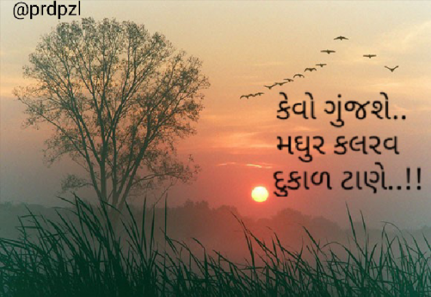 Gujarati Hiku by Pradipsinh Zala : 111413305