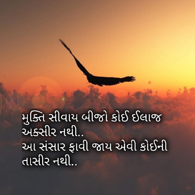 Gujarati Motivational by Yuvrajsinh jadeja : 111413513