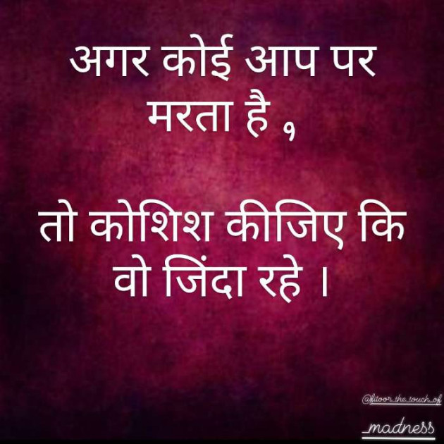English Shayri by Villain Noxi : 111414095