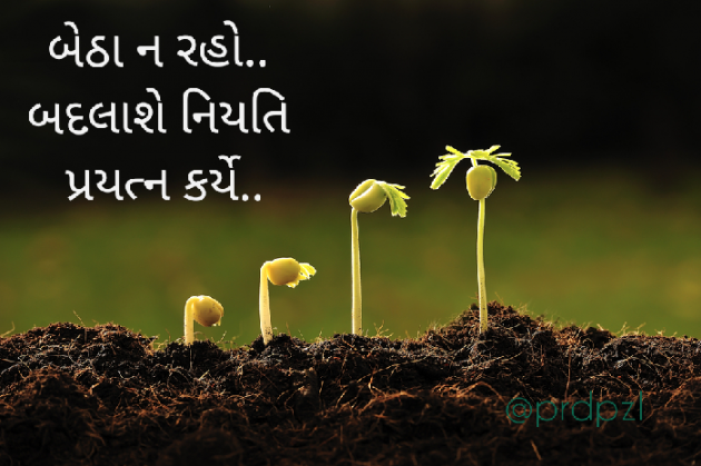 Gujarati Hiku by Pradipsinh Zala : 111416441