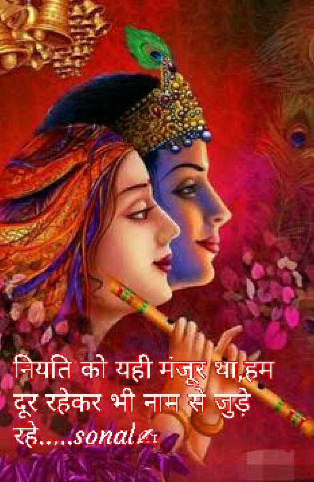 Hindi Blog by Sonalpatadia darpan : 111416654