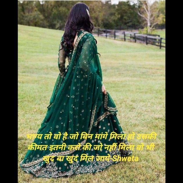 Hindi Blog by Shweta Singh : 111416739