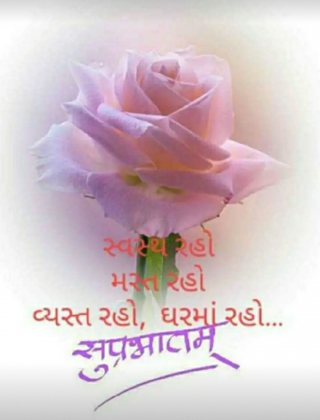 Gujarati Poem by મોહનભાઈ આનંદ : 111417308