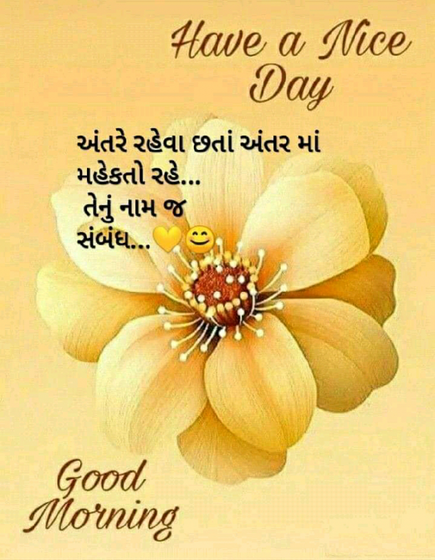 Gujarati Poem by મોહનભાઈ આનંદ : 111417701