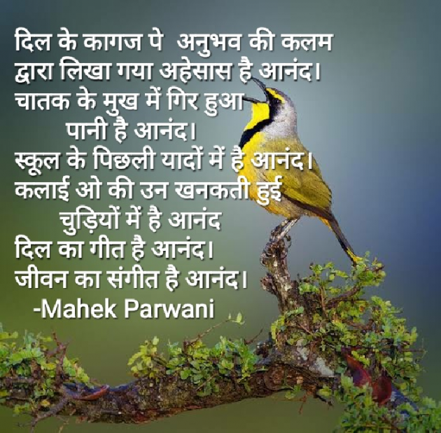 Hindi Poem by Mahek Parwani : 111417997