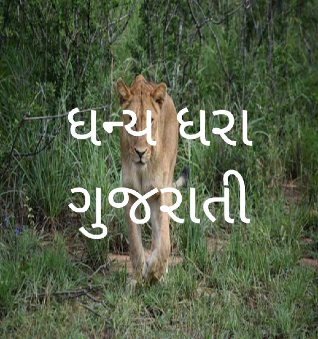 Gujarati Poem by Bhavna Jadav : 111418001