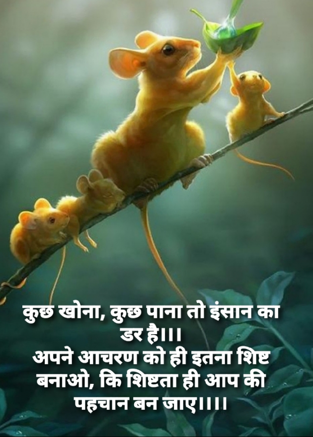 Hindi Thought by Renu Jindal : 111418665