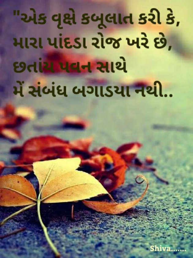 Gujarati Thought by shiva suthar : 111419125