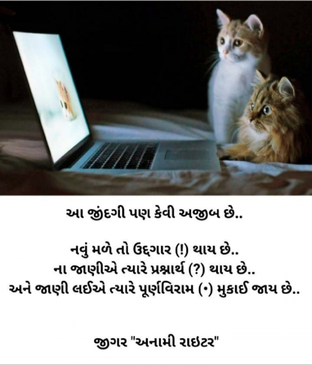 Gujarati Good Night by જીગર _અનામી રાઇટર : 111419418