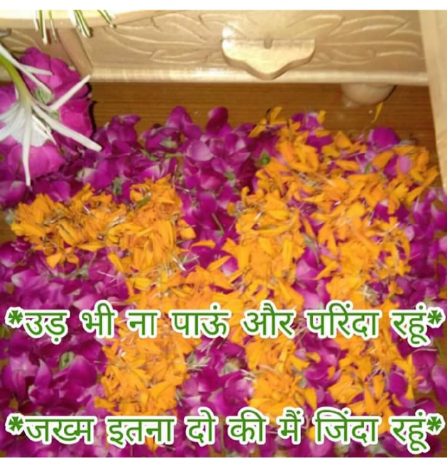 Gujarati Religious by Bhavna Bhatt : 111419672