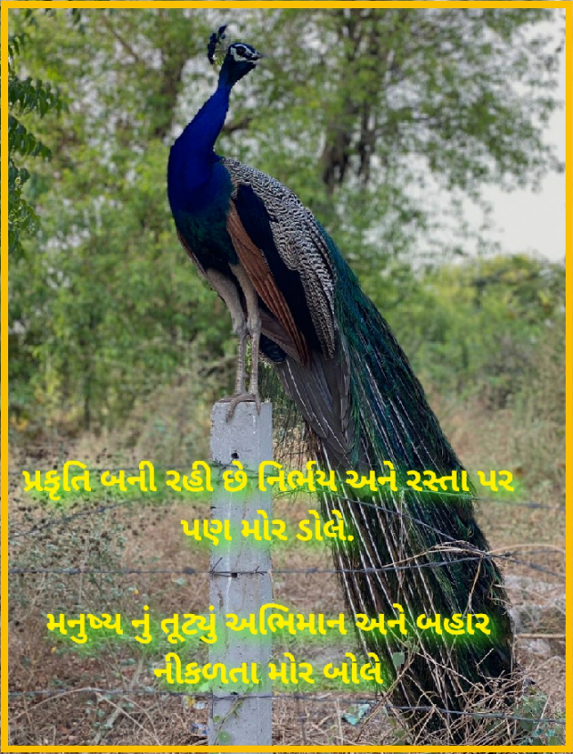 Gujarati Motivational by Himanshu Thakkar : 111420793