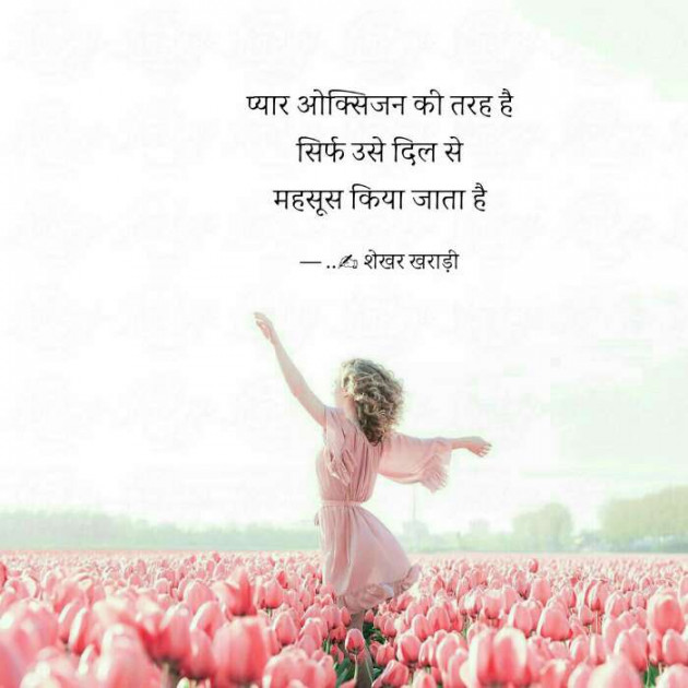 Hindi Blog by shekhar kharadi Idriya : 111421149