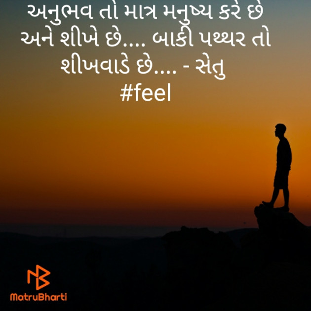 Gujarati Thought by Setu : 111421744