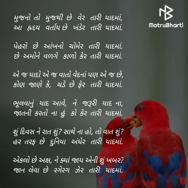 Gujarati Poem by Akshay Dhamecha : 111422525