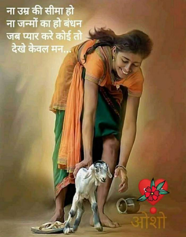 Gujarati Good Evening by Sonawala : 111423284