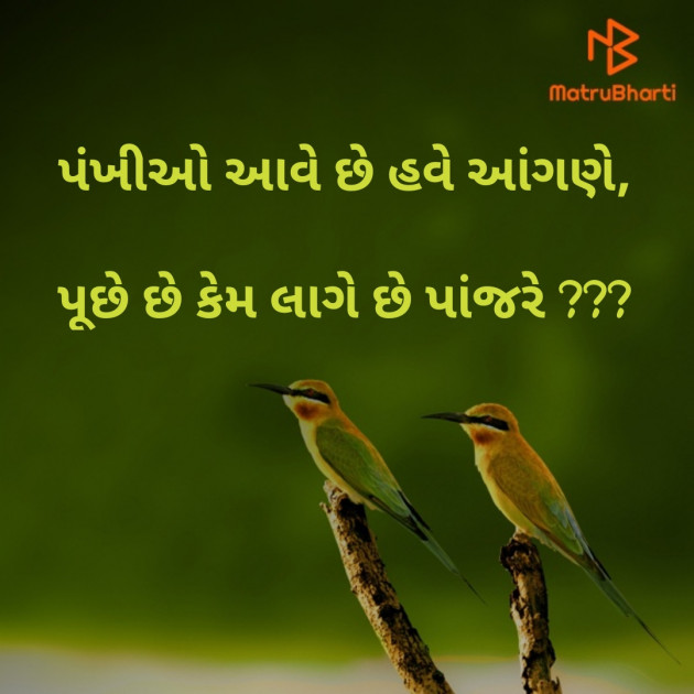 Gujarati Good Evening by Dharmesh Vala : 111423342