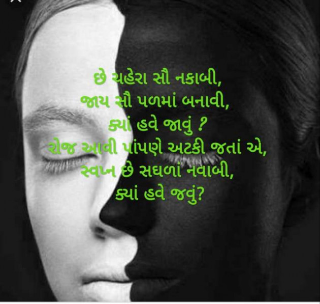 Gujarati Thought by Kinar Rana : 111423474
