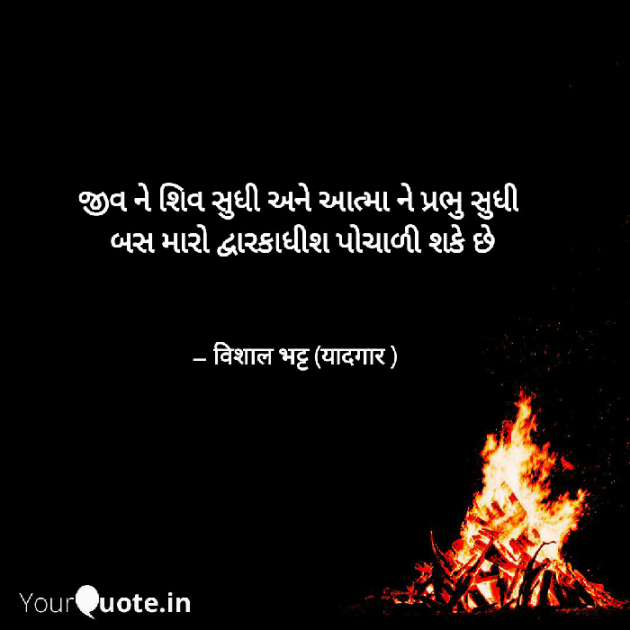 Gujarati Thought by Bhatt Vishal : 111423694