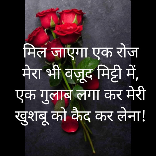 Hindi Blog by खुशबू शुक्ला : 111424532
