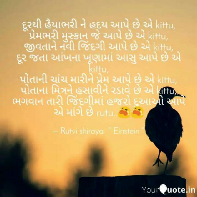 Gujarati Poem by RUTVI SHIROYA : 111424588